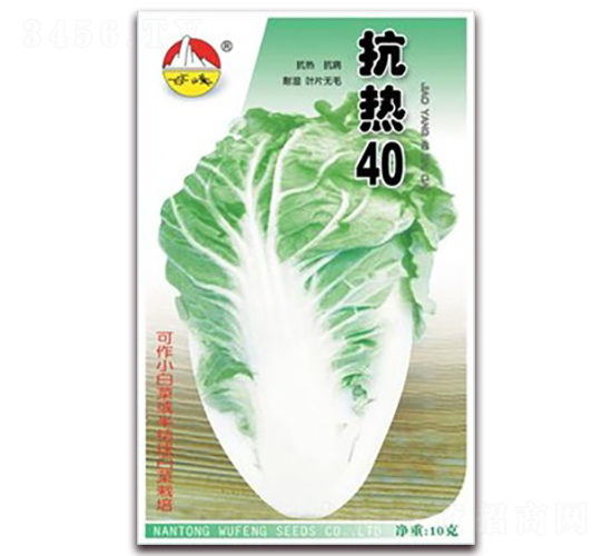 ����40-�ײ˷N��-�|���N�I(y��)