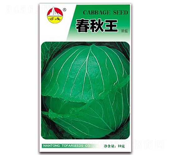 春秋王-甘藍(lán)種子-東方種業(yè)