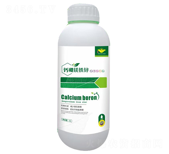 �}���V�F�\-��M��