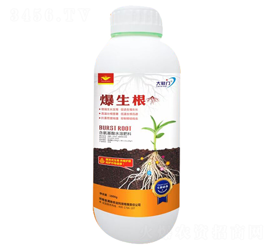 ������-��M��