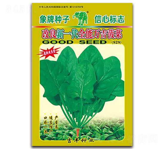 改良新一代全能萬(wàn)吉菠菜828-菠菜種子-吉豐種業(yè)