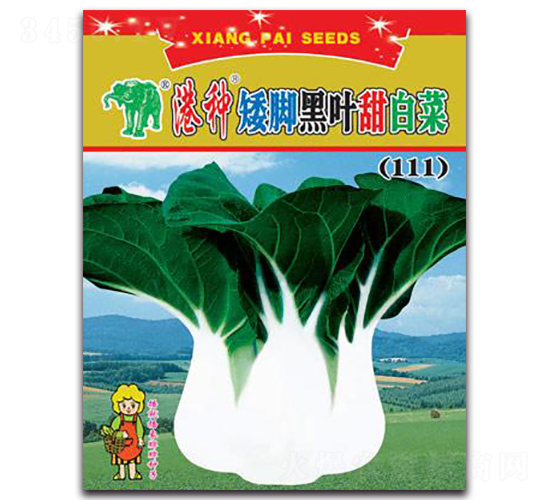 �۷N���_���~��ײˣ�111��-�ײ˷N��-���S�N�I(y��)