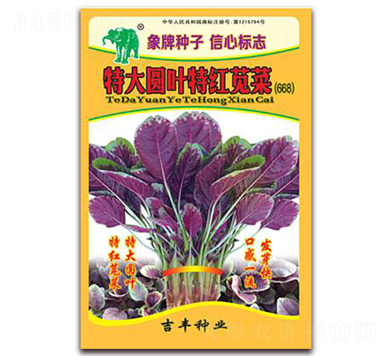 �ش�A�~�ؼt�{�ˣ�668��-�{�˷N��-���S�N�I(y��)