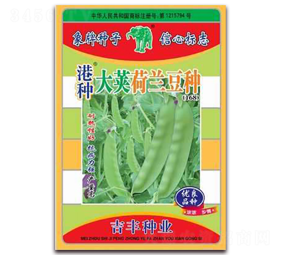 港種大莢荷蘭豆種（168）-荷蘭豆種子-吉豐種業(yè)