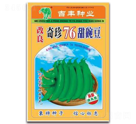 改良奇珍76甜碗豆-豌豆種子-吉豐種業(yè)