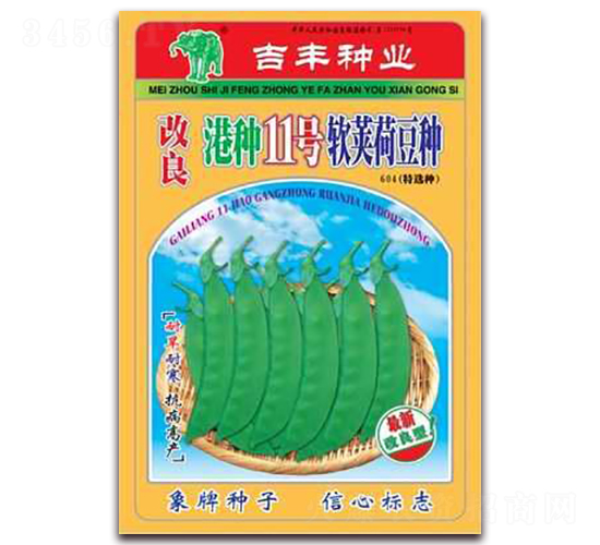改良港種11號軟莢荷豆種-荷蘭豆種子-吉豐種業(yè)