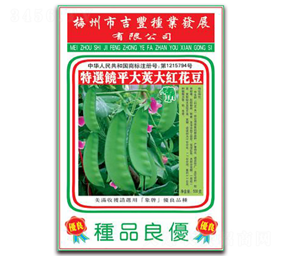 ��t����-�����N��-���S�N�I(y��)