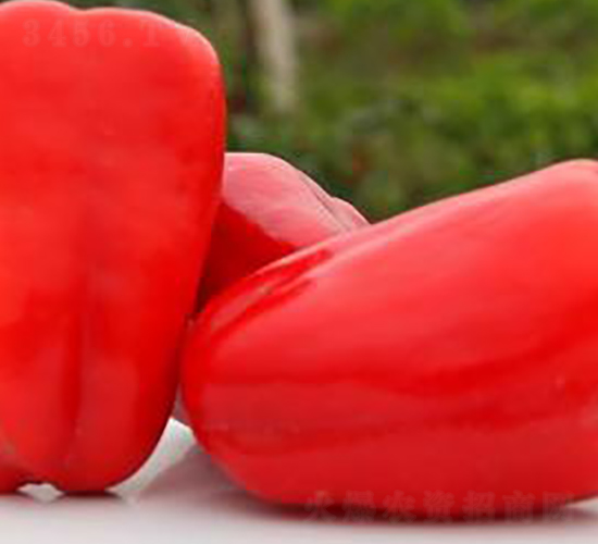 PA04-�����N��-�G�x�N�I(y��)