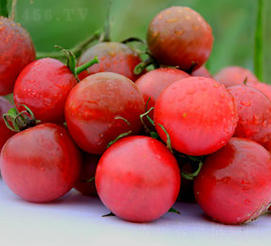 TA01-���ѷN��-�G�x�N�I(y��)