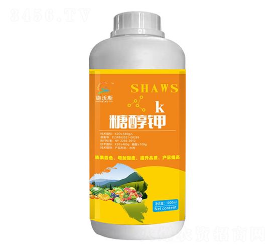 �Ǵ��-ʩ��˹