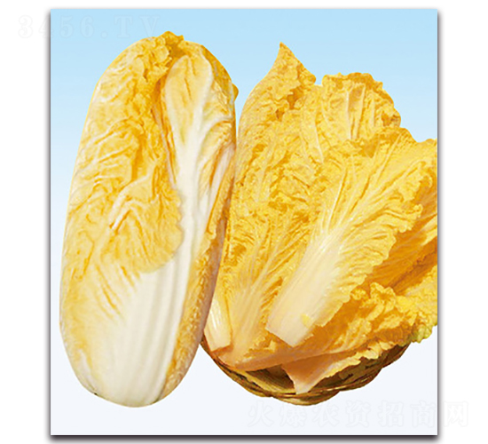 ������-�ײ˷N��-���}�r(n��ng)�I(y��)