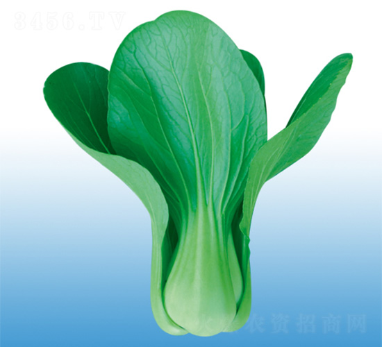 ���(y��ng)-�๣�˷N��-�֠��r(n��ng)�I(y��)