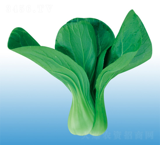 �\�-�๣�˷N��-�֠��r�I(y��)