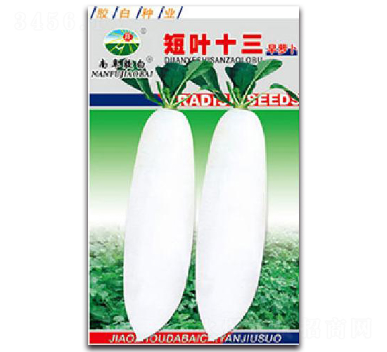 短葉13-蘿卜種子-膠白