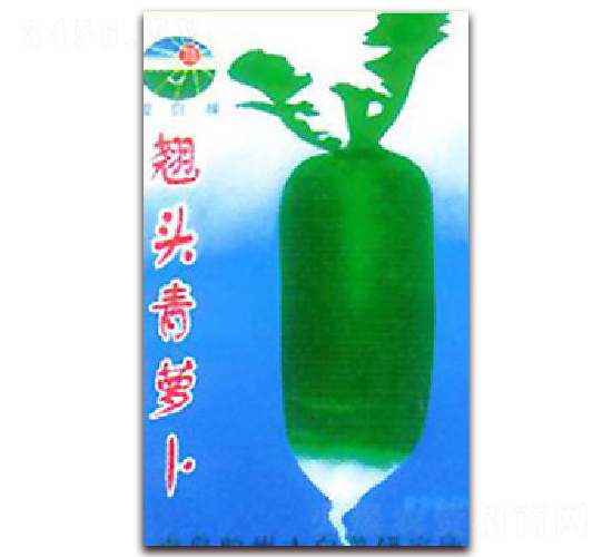翹頭青蘿卜-蘿卜種子-膠白