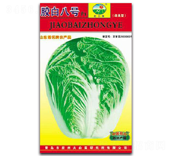 膠白八號(hào)F1-白菜種子-膠白