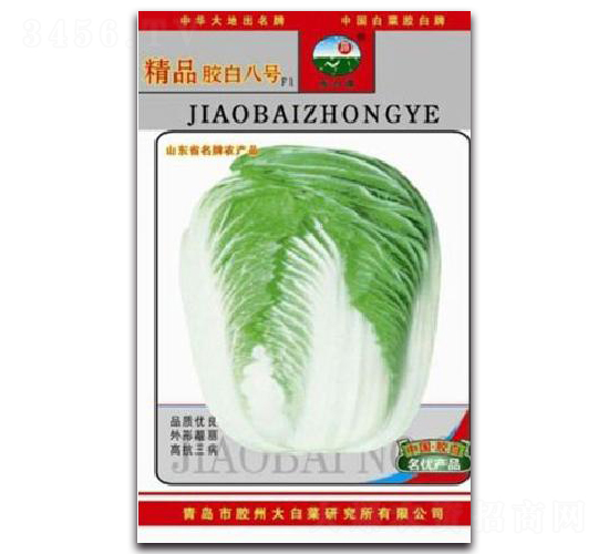 精品膠白八號(hào)F1-白菜種子-膠白