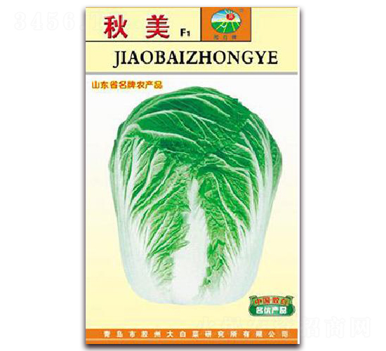 秋美F1-白菜種子-膠白