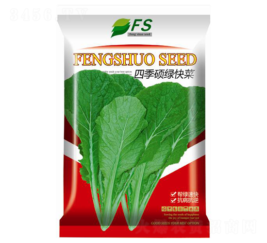 四季碩綠快菜-快菜種子-豐碩種業(yè)