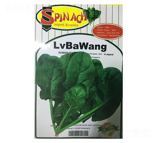 �G�����s��һ�����˷N��-ʢ���N��