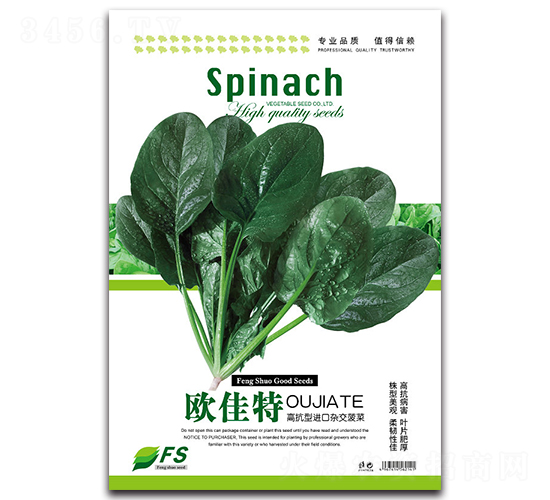歐佳特-菠菜種子-豐碩種業(yè)