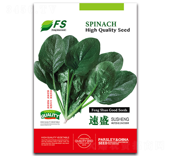 速盛-菠菜種子-豐碩種業(yè)