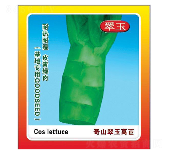 奇山翠玉萵苣-萵苣種子-盛琪種子