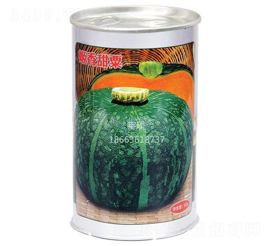 姬香甜粟-南瓜種子-豐碩種業(yè)