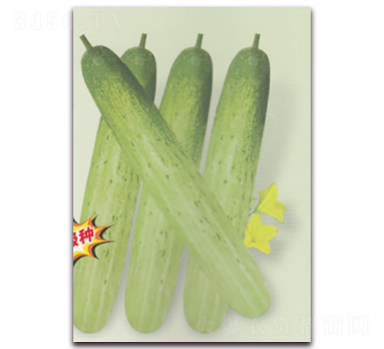 ����S��-�S�ϷN��-����N�I(y��)