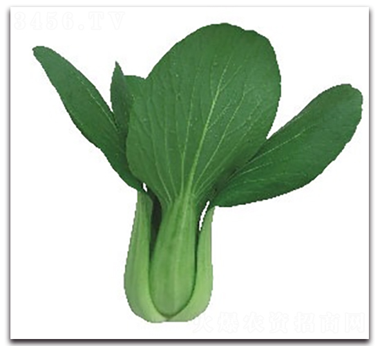 �A�ļt2̖(h��o)�๣��-�๣�˷N��-����N�I(y��)