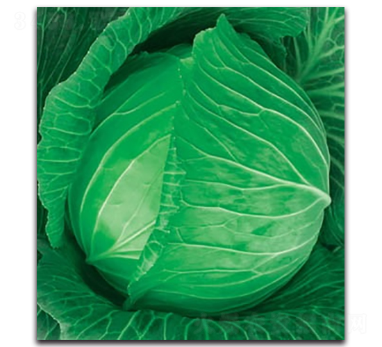 δ��789���{(l��n)-���{(l��n)�N��-����N�I(y��)