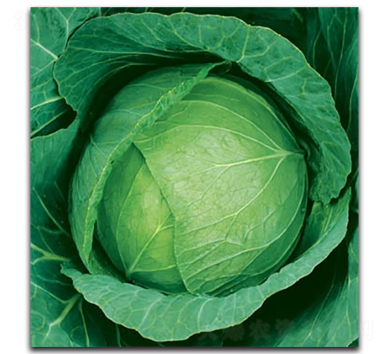 δ��783���{(l��n)-���{(l��n)�N��-����N�I(y��)