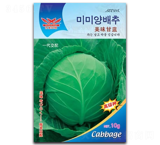 美味甘藍(lán)-甘藍(lán)種子-科翔種業(yè)