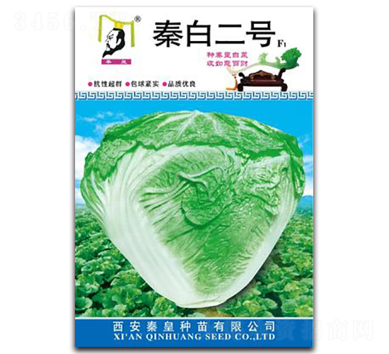 �ذ׶�̖F1-�ײ˷N��-�ػ�