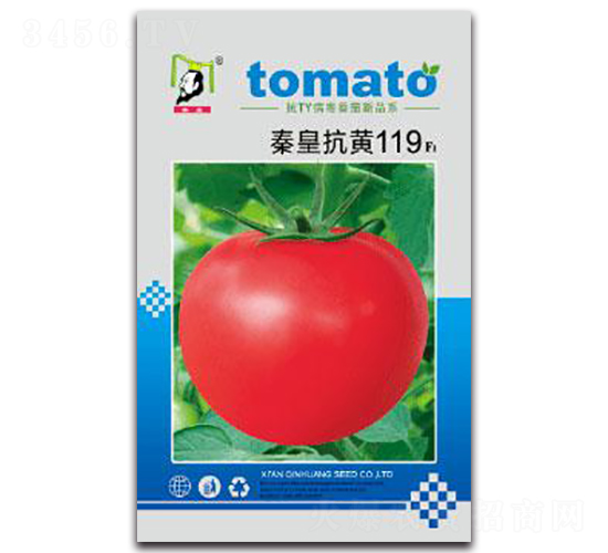 �ػʿ��S119F1-���ѷN��-�ػ�