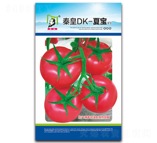 �ػ�DK-�Č�F1-���ѷN��-�ػ�