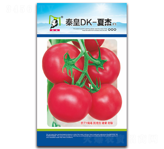 �ػ�DK-�Ľ�F1-���ѷN��-�ػ�