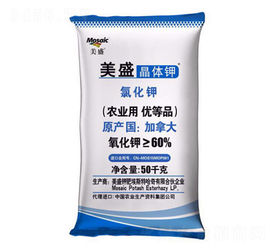 ���w�-��ʢ-����R��