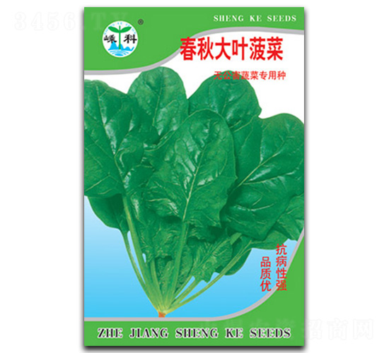 ������~����-���˷N��-�ӿƷN�I(y��)