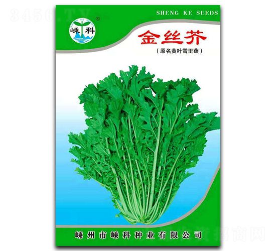 金絲芥-芥菜種子-嵊科種業(yè)