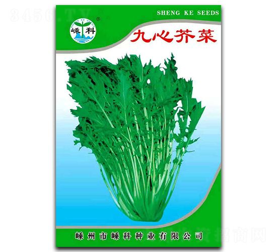 九心芥菜-芥菜種子-嵊科種業(yè)