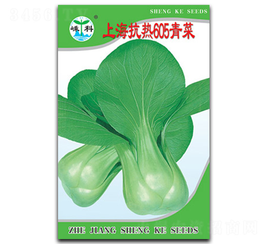 �Ϻ�����605���-��˷N��-�ӿƷN�I(y��)