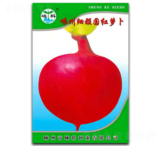 嵊州細(xì)頸圓紅蘿卜-蘿卜種子-嵊科種業(yè)