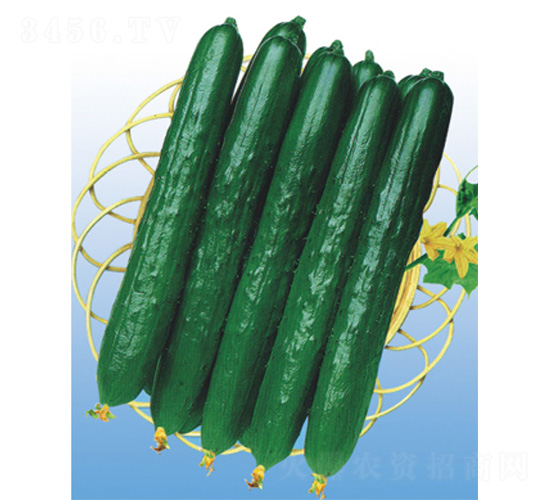 ��DV-19-�S�ϷN��-����