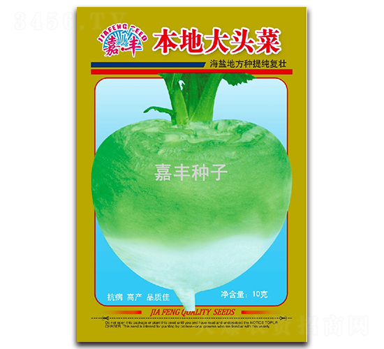 本地大頭菜-蘿卜種子-嘉豐種子