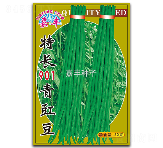 ���L901������-�����N��-���S�N��