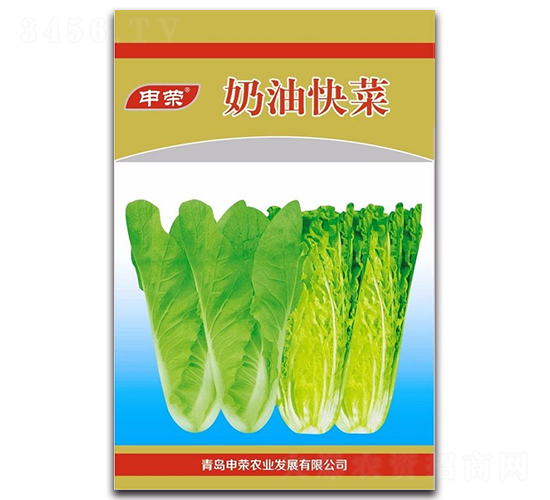 ���Ϳ��-��˷N��-��s�r�I(y��)