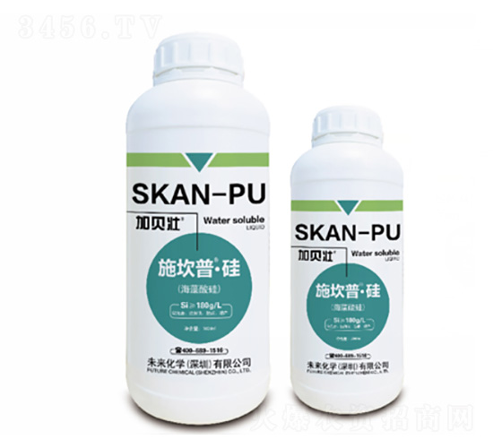 ʩ����-��-δ�����W(xu��)