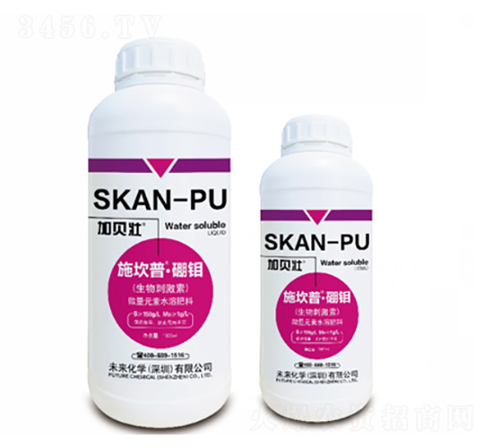 ʩ����-���f-δ�����W