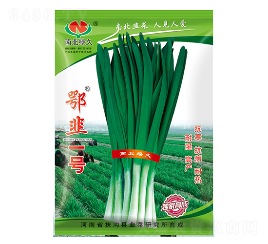 ����һ̖-�²˷N��-�ϱ��G��